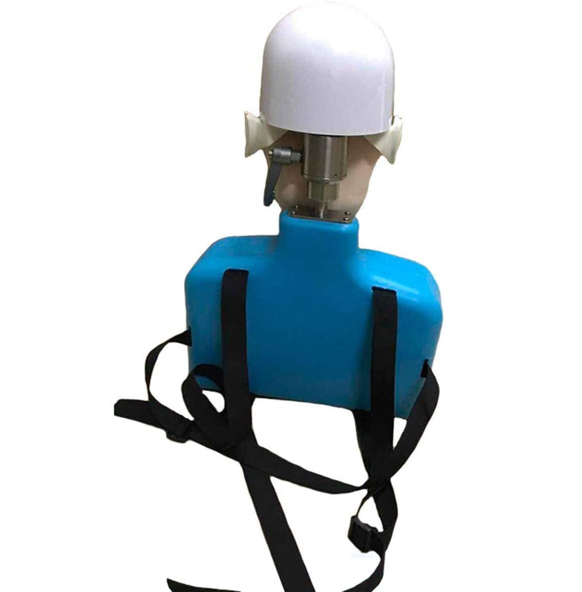 Amazon.co.jp: 歯科用ファントムヘッド、実物大ファントム